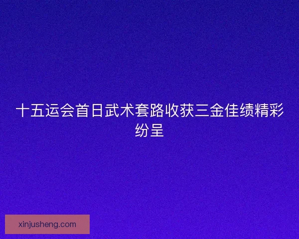 十五运会首日武术套路收获三金佳绩精彩纷呈