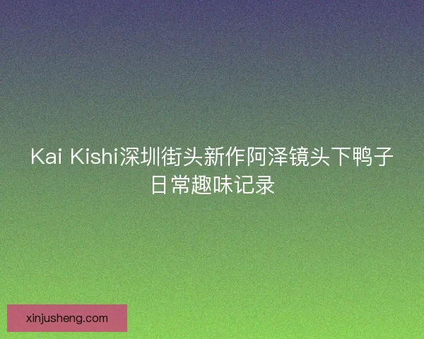 Kai Kishi深圳街头新作阿泽镜头下鸭子日常趣味记录