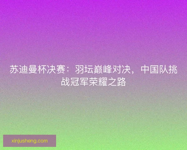 苏迪曼杯决赛：羽坛巅峰对决，中国队挑战冠军荣耀之路